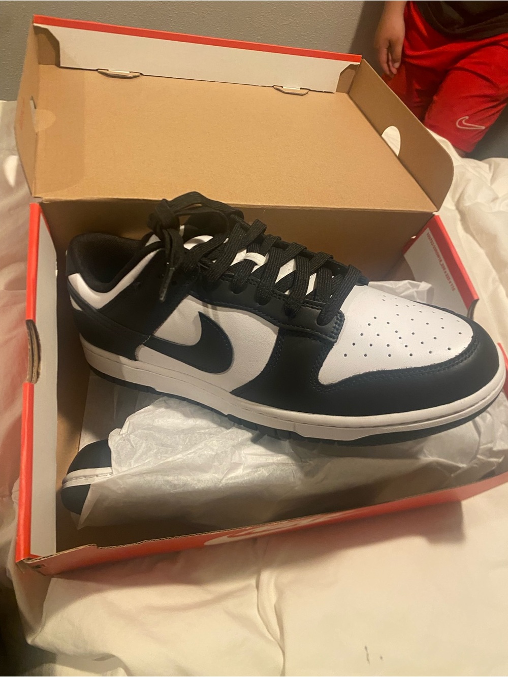 Nike Men’s Black and White Low-Top Skate Sneakers